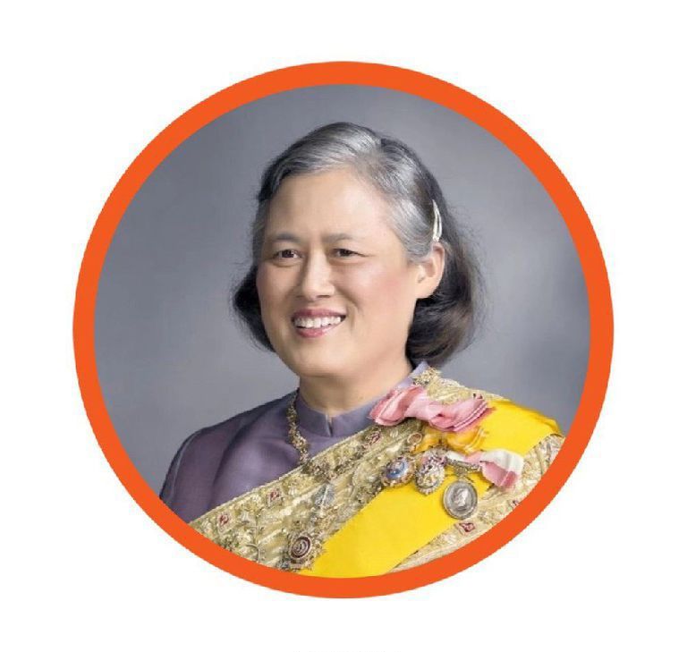 诗琳通2.jpg